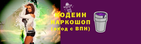 дмт Бородино