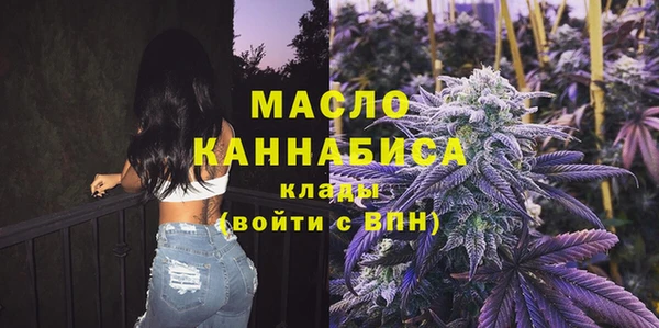 дмт Бородино