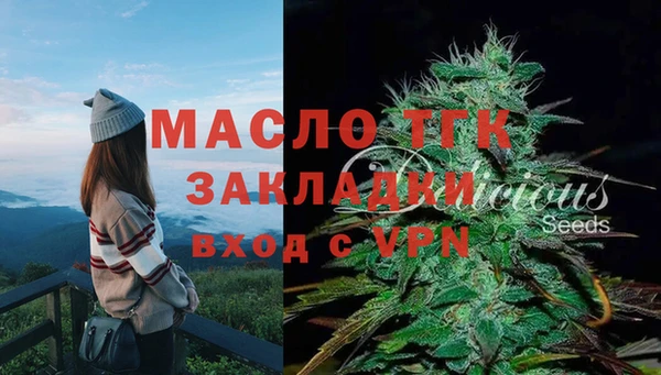 СК Бронницы