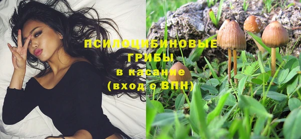 СК Бронницы