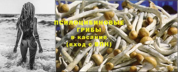 гашик Верея