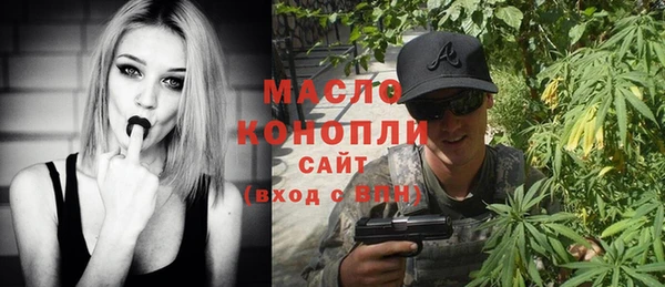дмт Бородино
