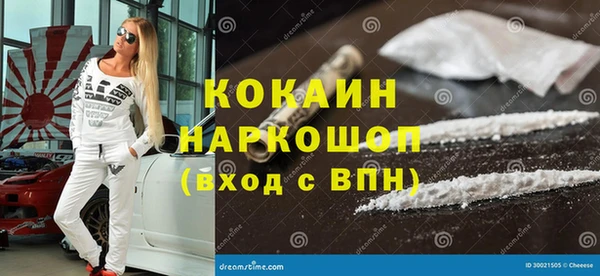 гашик Верея