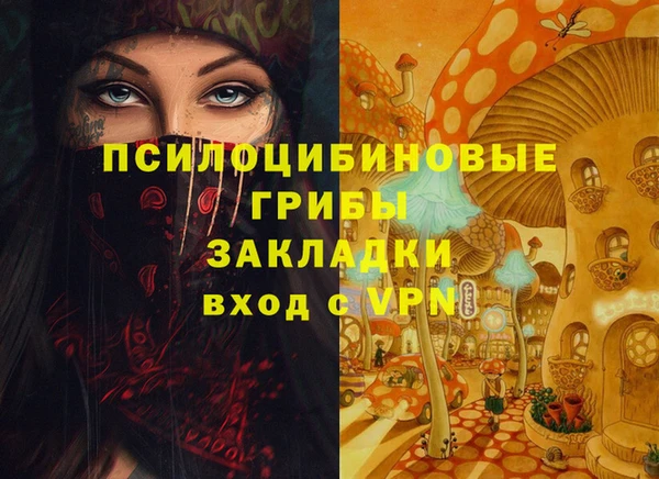СК Бронницы