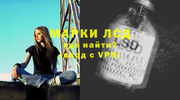 гашик Верея