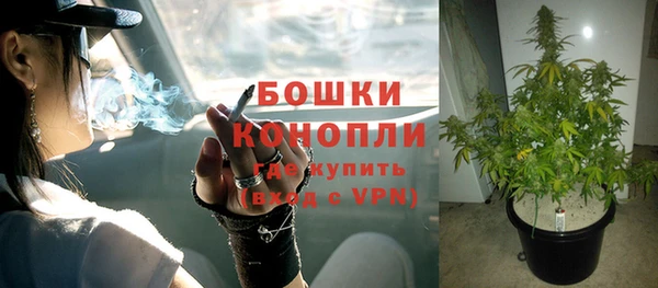 СК Бронницы