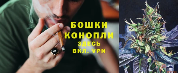 СК Бронницы
